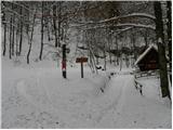 Koča pri Savici - Planina Lopučnica